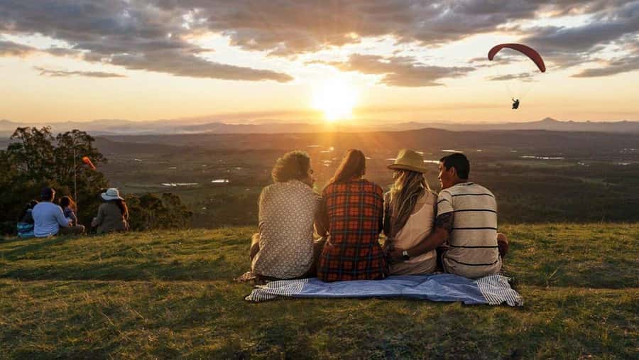 Gold Coast: Premium Wine Tour with Gourmet Lunch - Key points at a glance