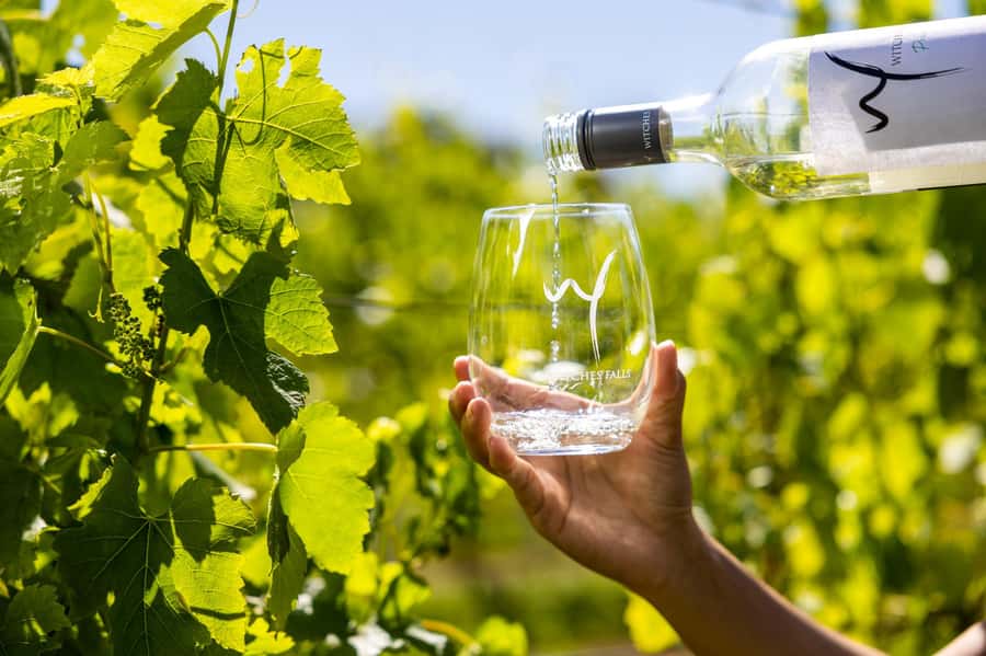Gold Coast: Premium Wine Tour with Gourmet Lunch - Booking details worth knowing