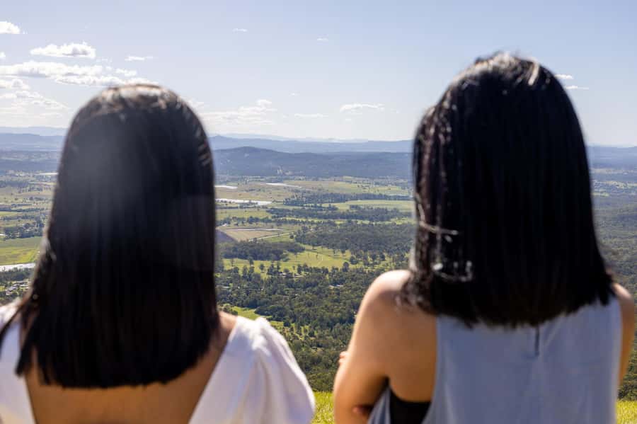 Gold Coast: Premium Wine Tour with Gourmet Lunch - What the guides add to the experience