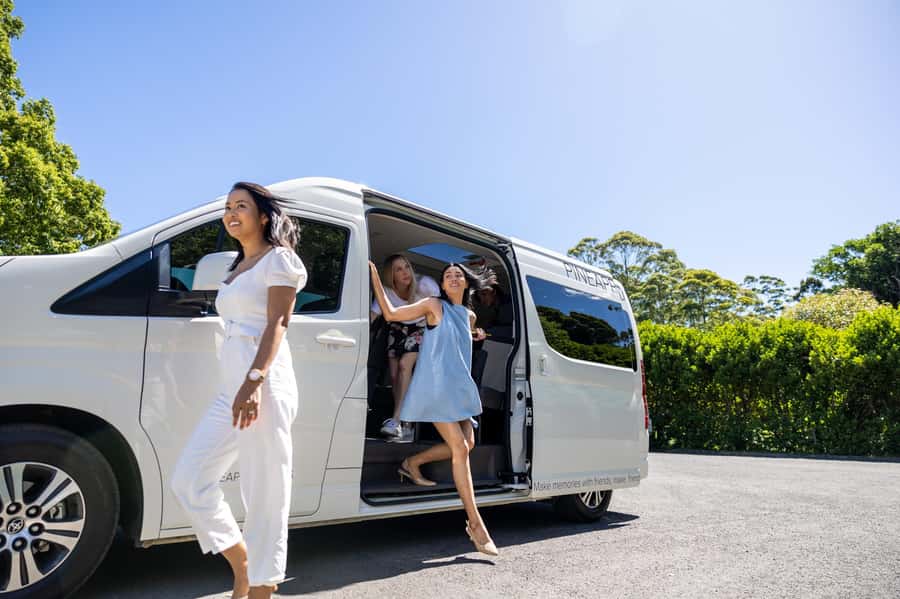 Gold Coast: Premium Wine Tour with Gourmet Lunch - Is $211 good value?