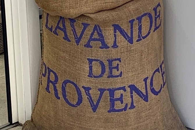 Gourmet & Cultural Tour Aix En Provence English / Espanol - Hotel de Caumont and the Cours Mirabeau