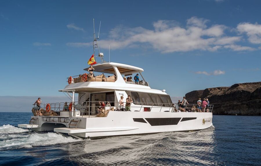 Gran Canaria: Afternoon Catamaran Cruise with Food & Drink - Should You Book the Afrikat Cruise?