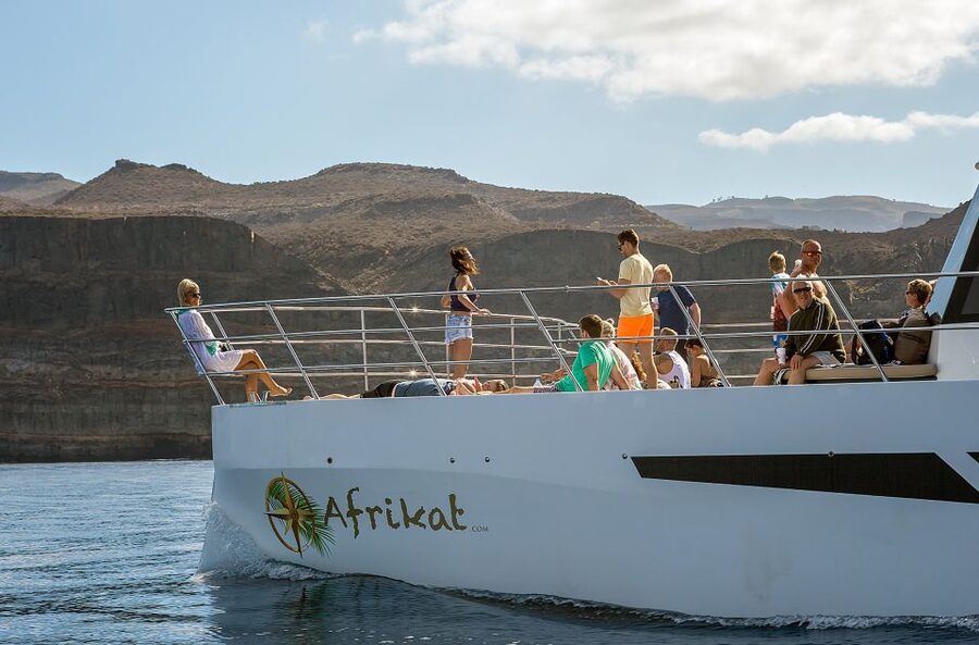 Gran Canaria: Afternoon Catamaran Cruise with Food & Drink - Choosing Between Sun Cushions and Water Sports