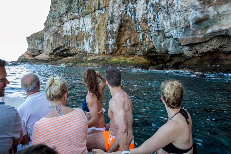 Gran Canaria: Afternoon Catamaran Cruise with Food & Drink - Who Will Enjoy This Cruise Most?