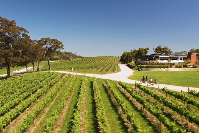 Hahndorf food and wine E-Bike Tour - Udder Delights for cheese, bread, and quince paste