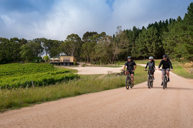 Hahndorf food and wine E-Bike Tour - Shaw and Smith: five premium wines with a view