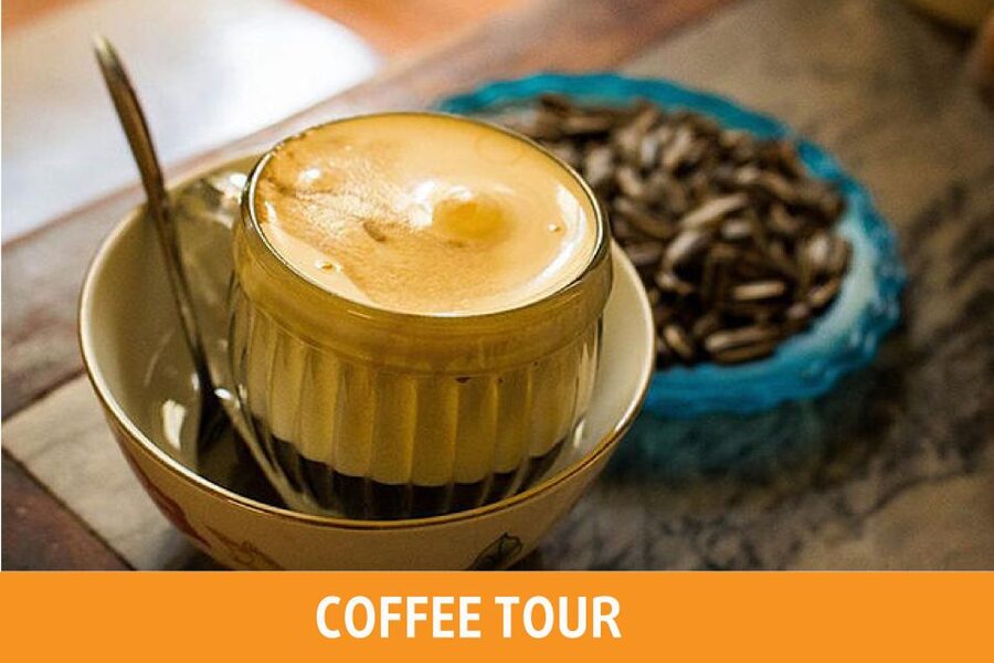 Hanoi: 7 Tastings Street Food Tour with Train Street - Group size, guide style, and value