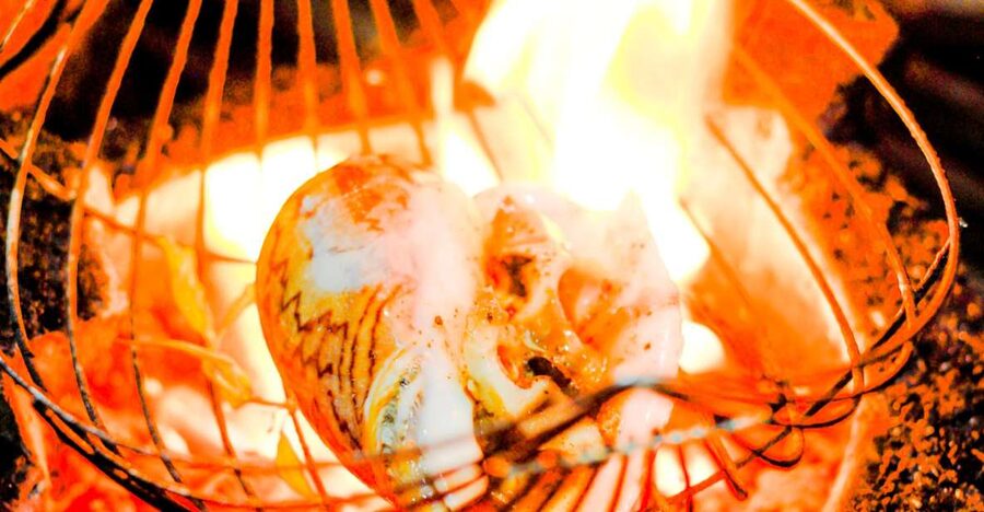 Ho Chi Minh City: Private Street Food Evening Walking Tour - Key points to know before booking