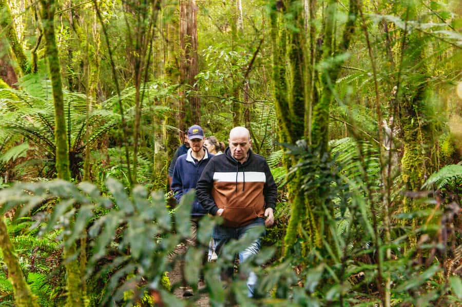 Hobart: Bruny Island Gourmet Sightseeing Day Tour - Why this Bruny Island day trip works