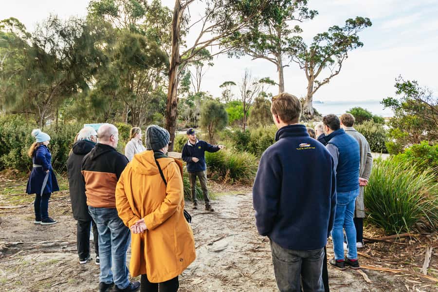 Hobart: Bruny Island Gourmet Sightseeing Day Tour - Cheese, beer and the first taste of island produce