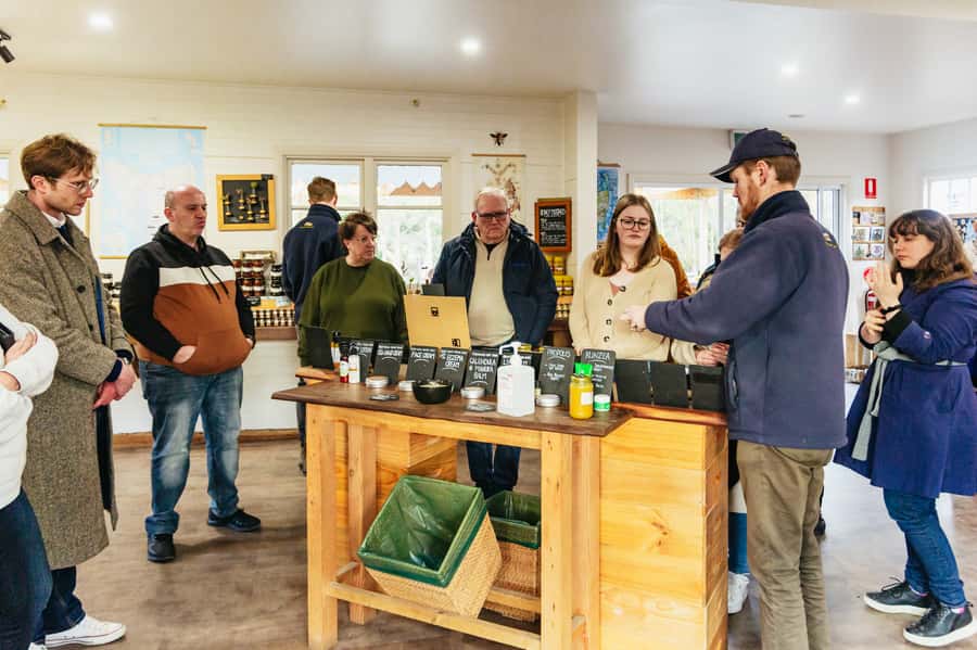 Hobart: Bruny Island Gourmet Sightseeing Day Tour - The Bligh Museum and Bruny’s past