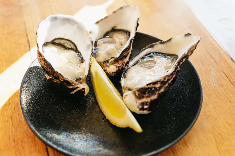 Hobart: Bruny Island Gourmet Sightseeing Day Tour - HIBA’s private gardens
