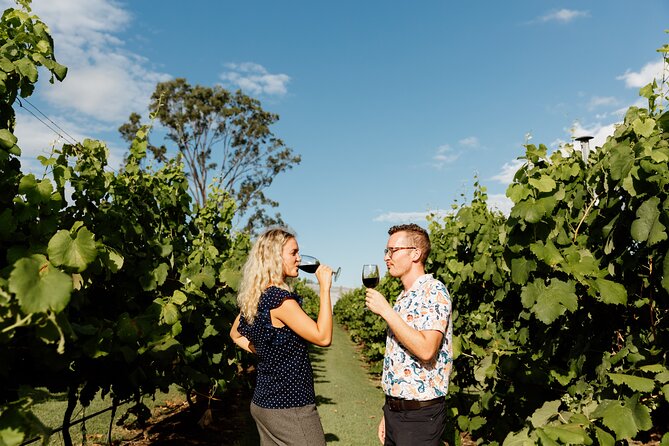 Hop on Hop off Wine tasting tour to Tamborine Mountain - Gallery Walk and mountain shopping
