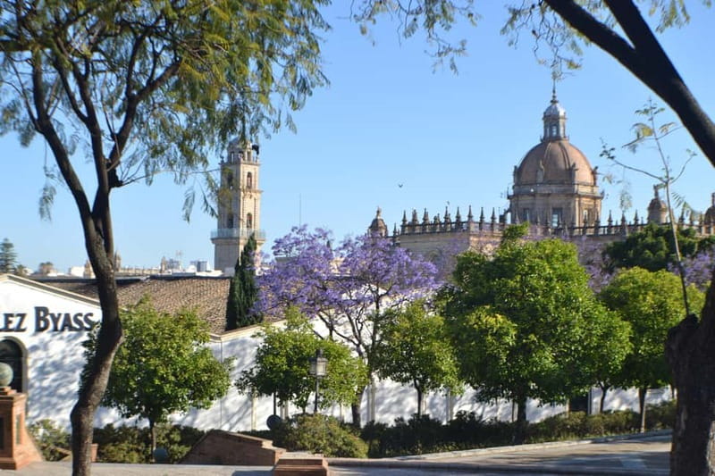 Jerez: 1.5-Hour Sherry Winery and Tasting Tour - Who should book this Jerez wine tour?