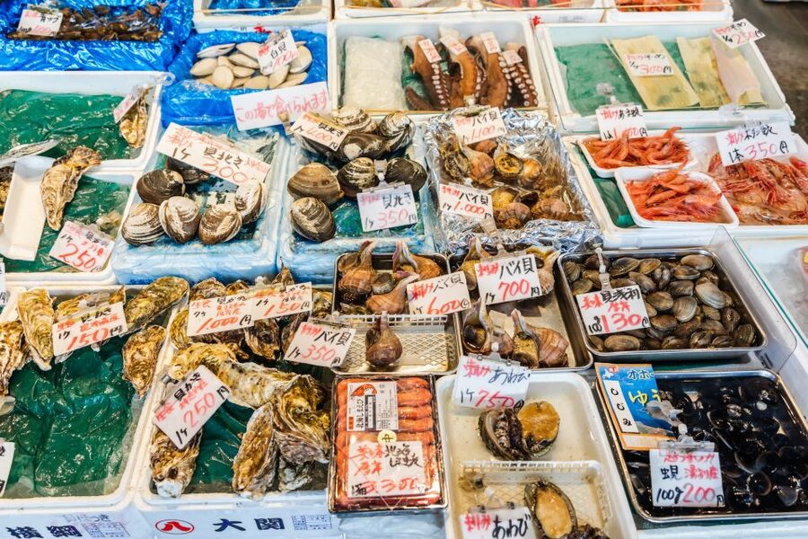 Kanazawa: Private Food Tasting Walking Tour - The private host makes the difference
