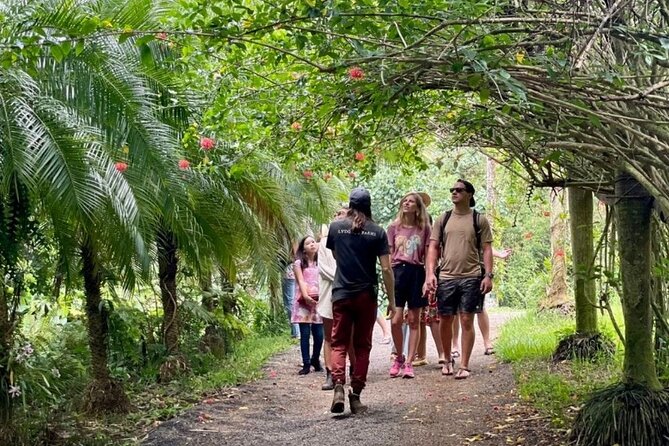 Kauai Chocolate Farm Tasting Tour - What makes Lydgate Farms different