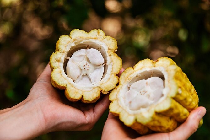 Kauai Chocolate Farm Tasting Tour - The guides and the teaching style