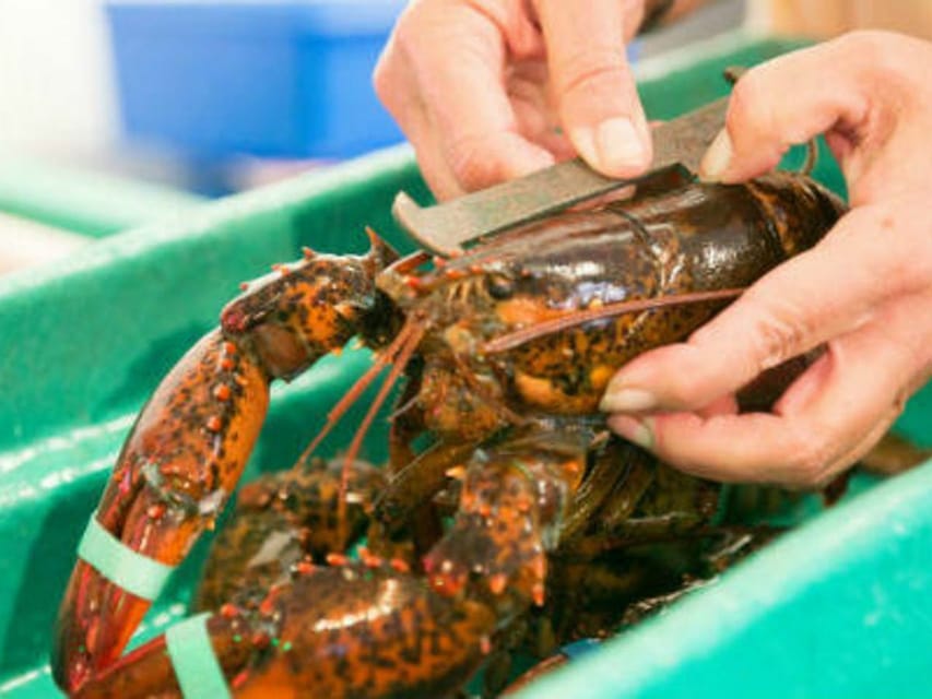 Kennebunkport, Maine: Lunchtime Culinary Walking Tour - Dietary needs and mobility concerns