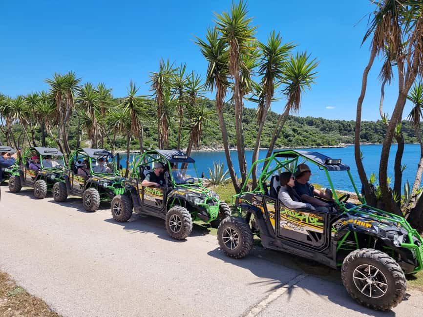 Korcula: Buggy Safari with Local Food and Wine Tasting - Vineyards, stone borders, and the GRK grape