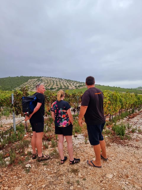 Korcula: Buggy Safari with Local Food and Wine Tasting - The hunting room and the local stories