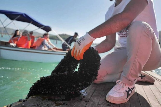 Ksamil: Mussel Sailing Tour with Food and Drink in Albania - Seeing how Butrint mussels are cultivated