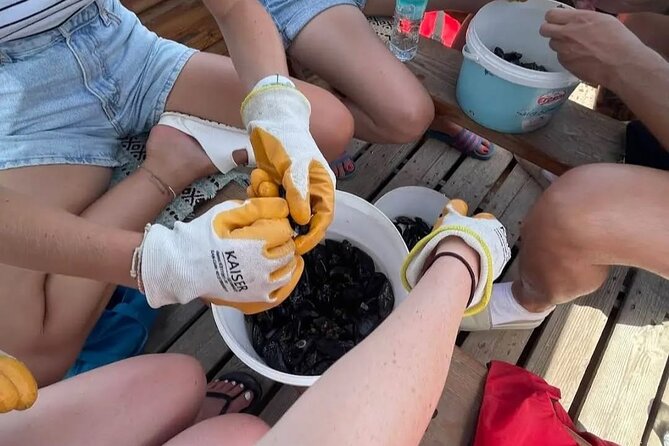Ksamil: Mussel Sailing Tour with Food and Drink in Albania - Lunch at a local restaurant in the national park