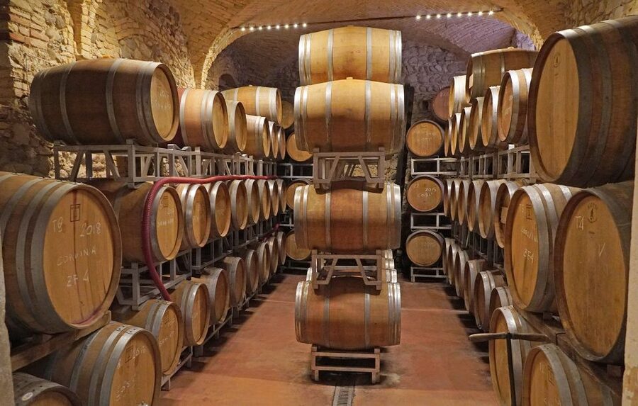 Lazise: Historical Center Wine Tasting Tour - What the guide adds to the experience