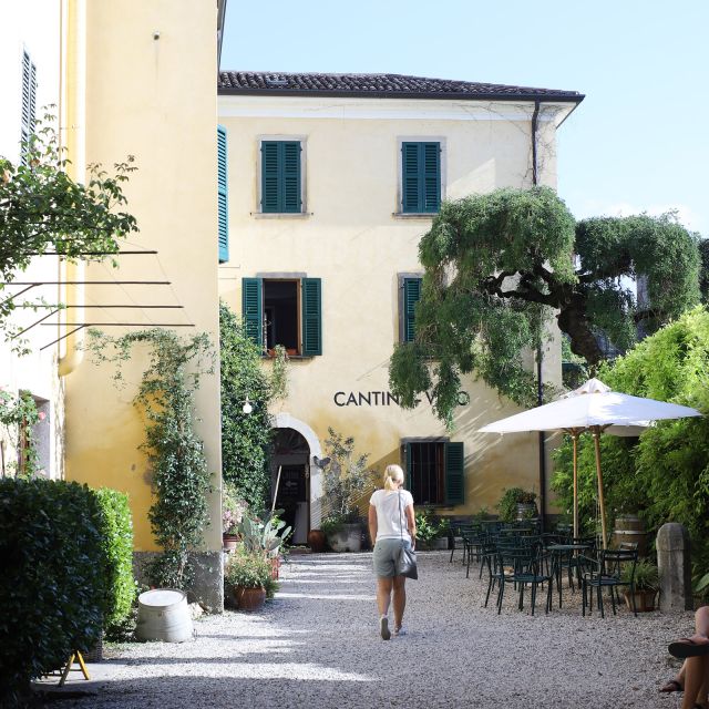 Lazise: Historical Center Wine Tasting Tour - The six-wine sequence, from fresh whites to full reds