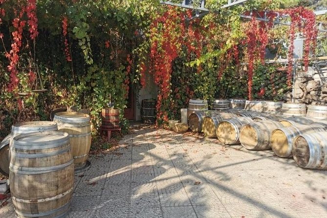 Lebanon Wine Tasting Tour From Beirut - Chateau Rayak and the final tasting