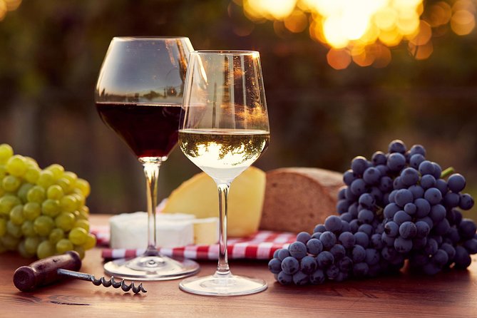 Lebanon Wine Tasting Tour From Beirut - Group size, comfort, and the pace of the day