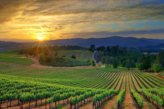 Lebanon Wine Tasting Tour From Beirut - Who should book this Bekaa Valley day trip?