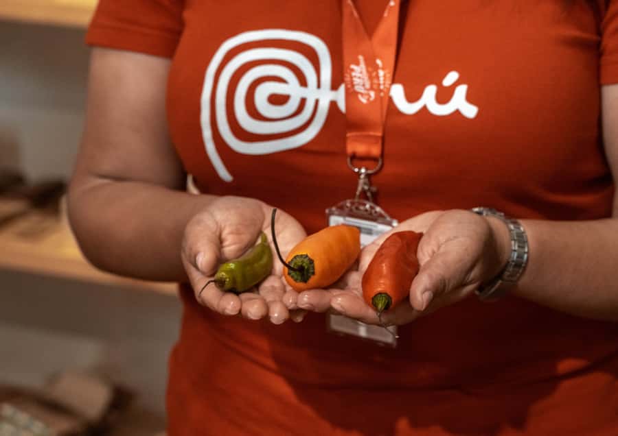 Lima: Ultimate Peruvian Food Tour - Starting at Mirador Saénz Peña