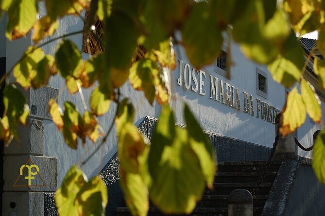 Lisbon Getaway: Private Arrábida Wine & Food Tour - Why this private Arrábida day works so well