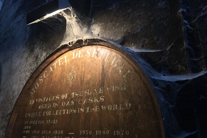 Lisbon Getaway: Private Arrábida Wine & Food Tour - Bacalhôa: wine, art, and an unusual second stop