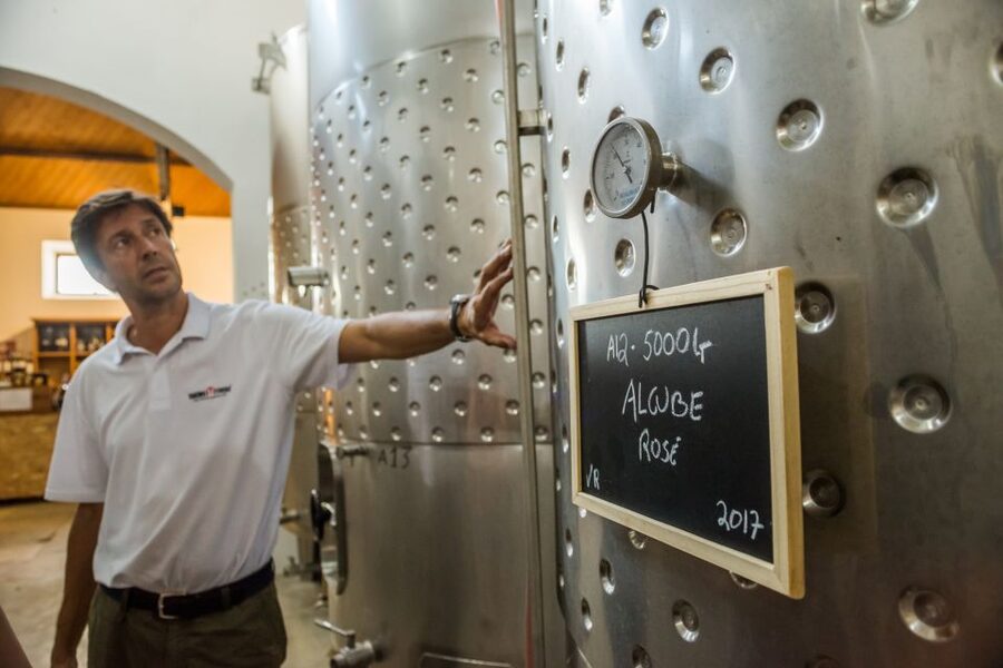 Lisbon Private Setúbal Region Wine Tasting Tour - Assis Lobo and the family-scale experience