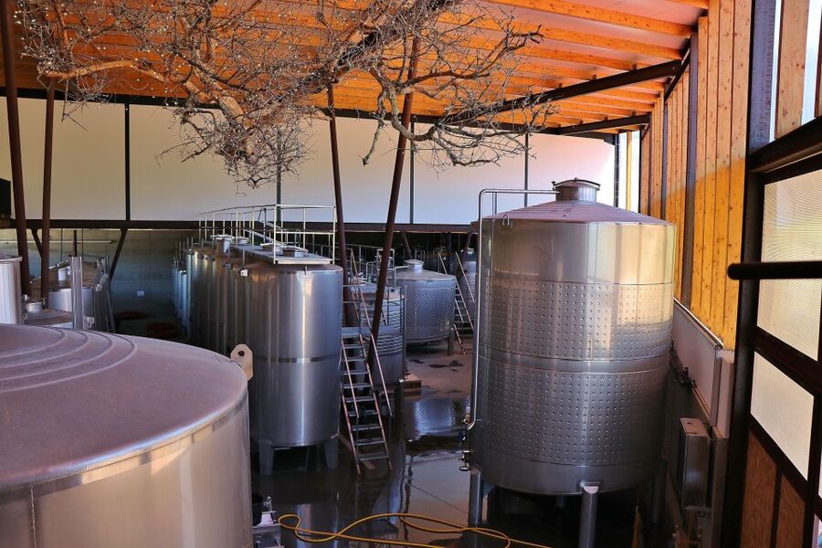 Lisbon Private Setúbal Region Wine Tasting Tour - Choosing between tastings and a full Palmela lunch