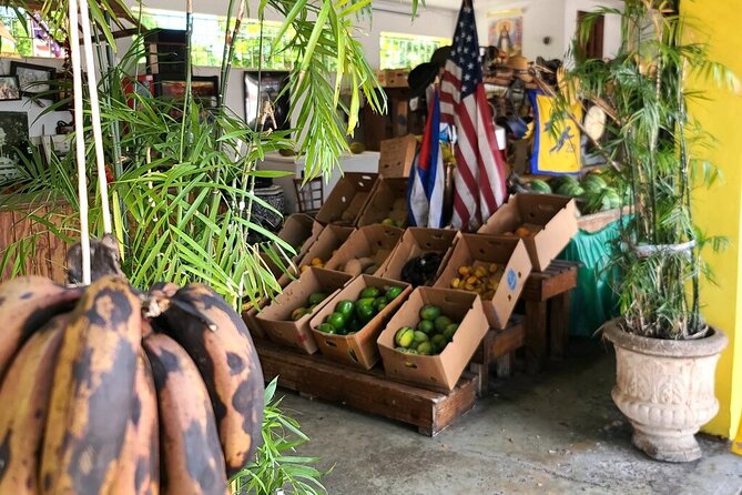 Little Havana: Authentic Food and Culture Walking Tour - Coffee, mojitos, and the ventanita ritual