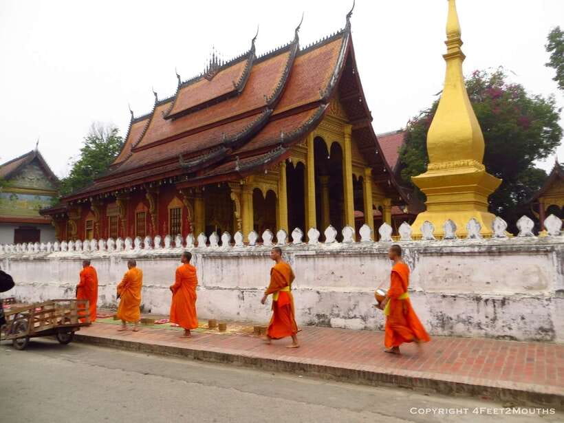 Luang Prabang: Foodie Walking Tour & Monk Blessing - Key points at a glance