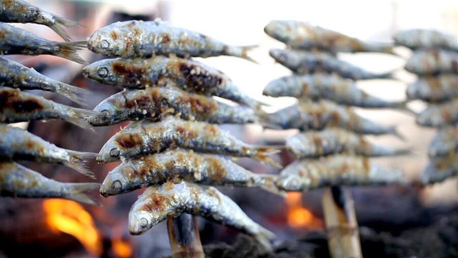 Malaga: PREMIUM TAPAS TOUR Paella, Tapas, Winery & Flamenco - The first restaurant: three traditional dishes and a drink