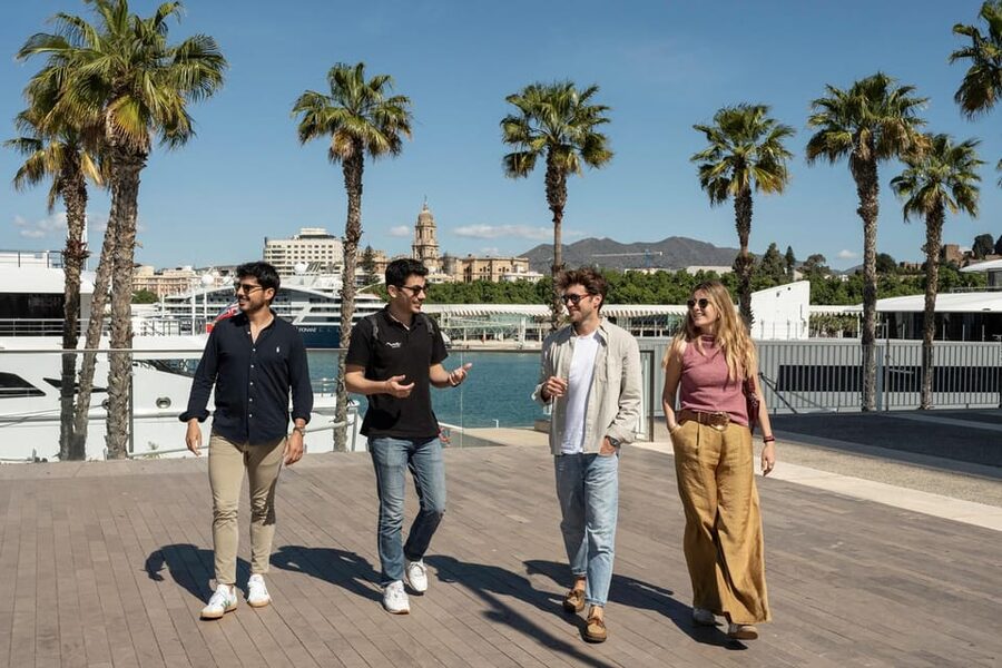 Málaga: Tapas, Wine & Rooftops Private Tour - The rooftop drink and the best city views