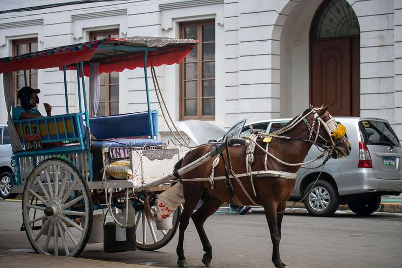 Manila: Sightseeing and Food Walking Tour with Tastings - Starting at Quinta Market and entering Quiapo