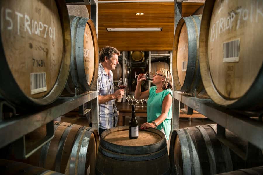 Marlborough: Full-Day Wine and Seafood Tour with Cruise - Green-Lipped Mussels and Marlborough Salmon