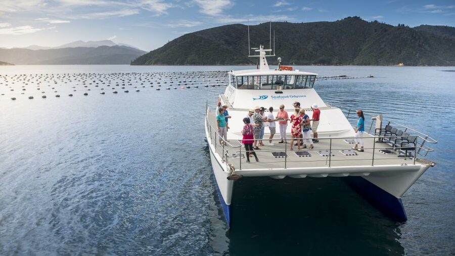 Marlborough: Full-Day Wine and Seafood Tour with Cruise - What the $191 Price Really Buys You