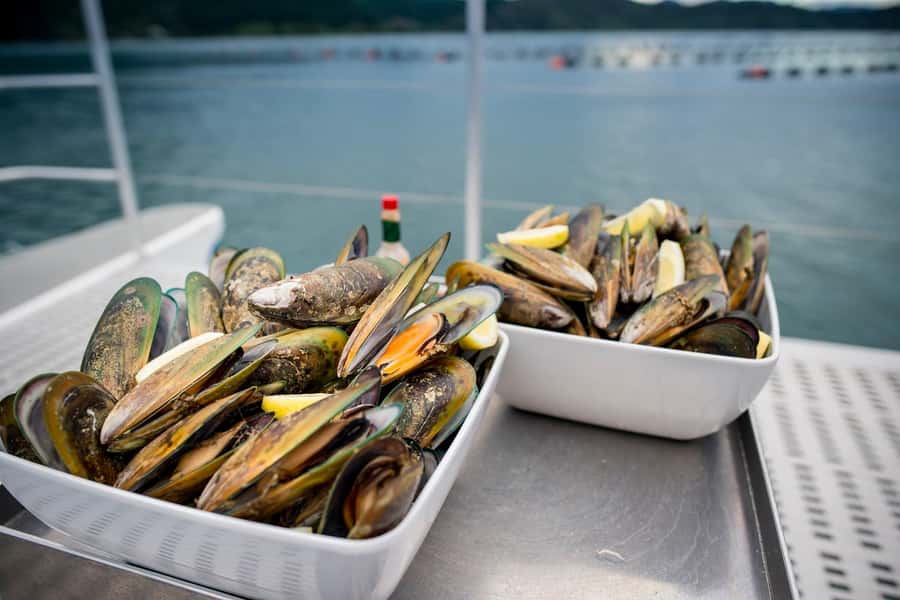 Marlborough: Full-Day Wine and Seafood Tour with Cruise - First Winery: A Gentle Introduction to Marlborough Wine