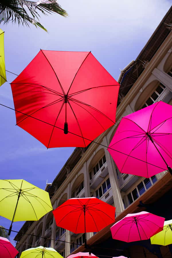 Mauritius: Snorkeling with Turtles & Port Louis Street Food - Key points at a glance