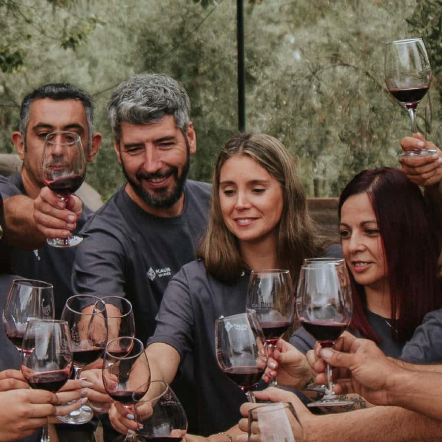 Mendoza: Wine Tasting Tour with Lunch and Private Transport - A private start in Mendoza