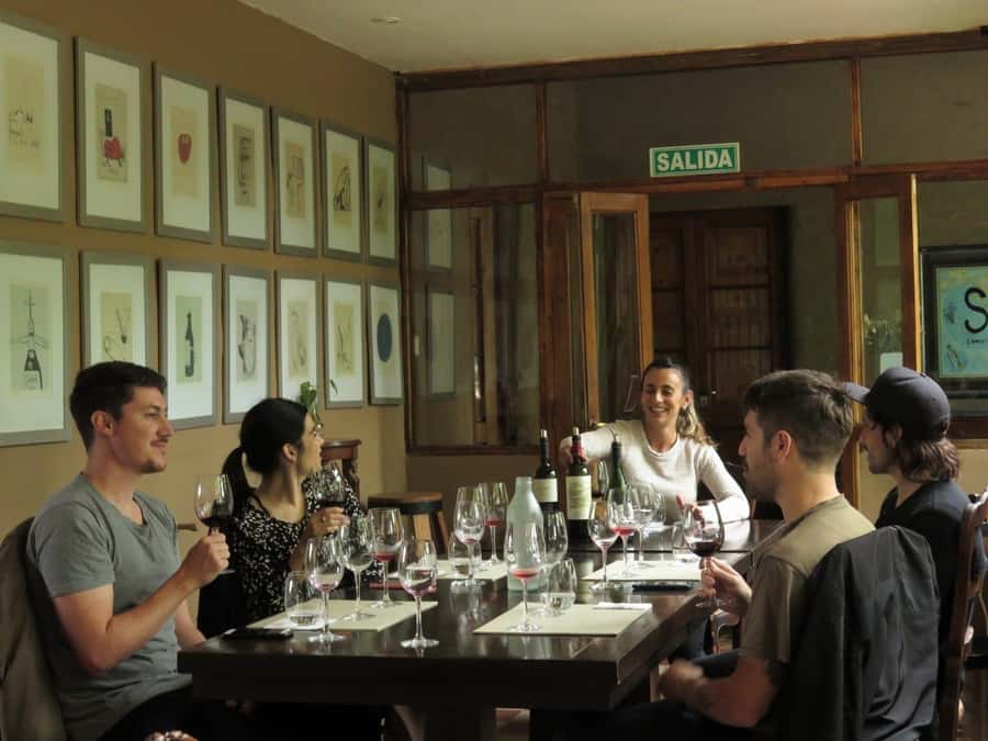 Mendoza: Wine Tasting Tour with Lunch and Private Transport - Two winery visits, with a different feel at each