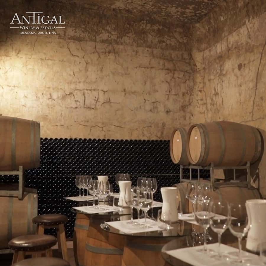 Mendoza: Wine Tasting Tour with Lunch and Private Transport - La Rural is part winery, part museum