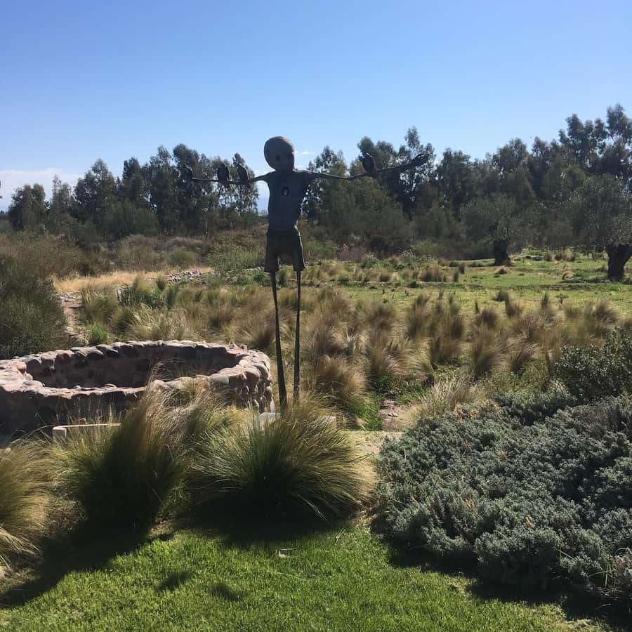 Mendoza: Wine Tasting Tour with Lunch and Private Transport - Tempus Alba and the value of a strong guide