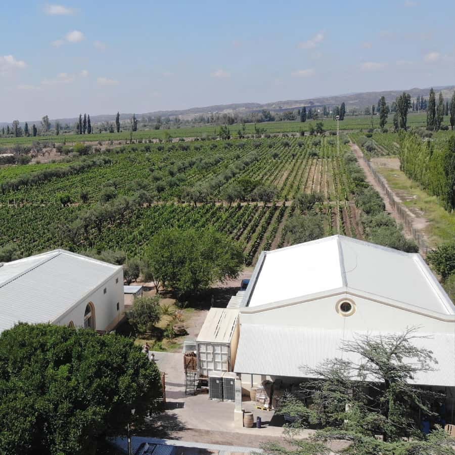 Mendoza: Wine Tasting Tour with Lunch and Private Transport - The long lunch at Antigal, Hacienda del Plata, or Tempus Alba